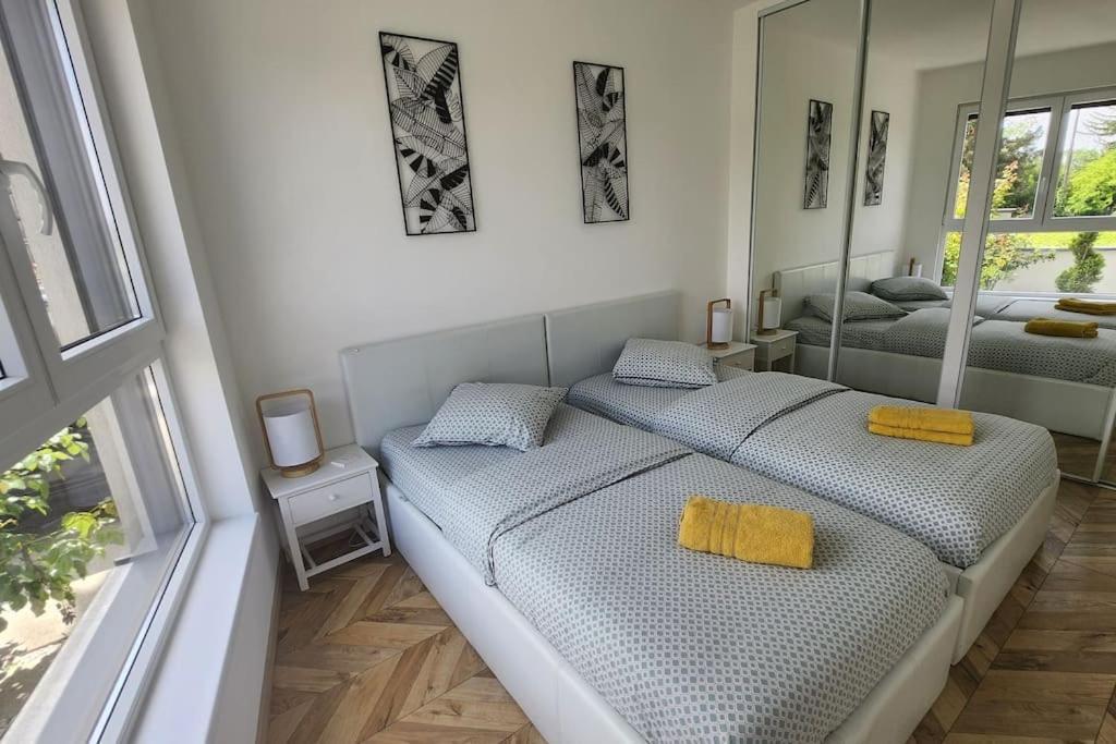 Suite Prestige Logement Neuf Avec Spa Et Ecran De Cinema En Rez De Jardin Кольмар Екстер'єр фото