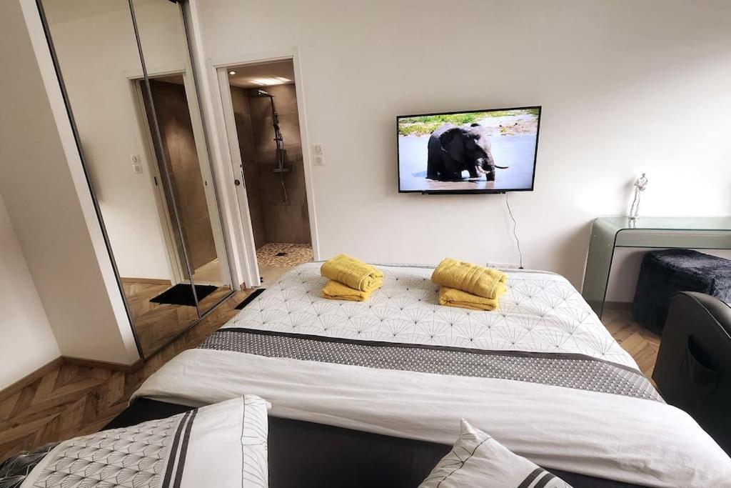 Suite Prestige Logement Neuf Avec Spa Et Ecran De Cinema En Rez De Jardin Кольмар Екстер'єр фото