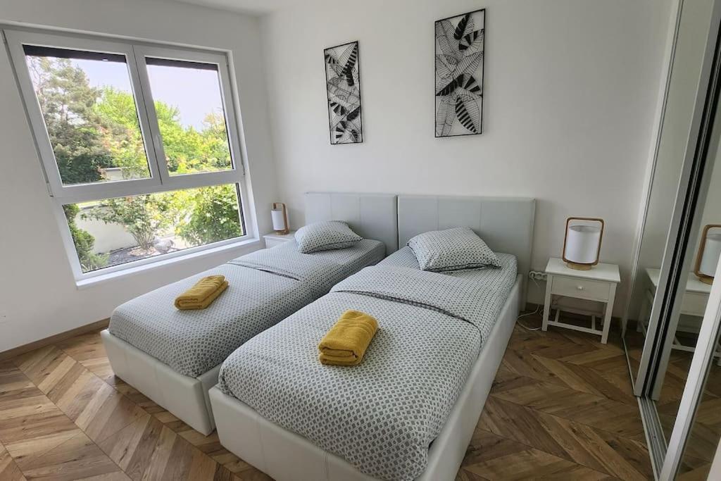 Suite Prestige Logement Neuf Avec Spa Et Ecran De Cinema En Rez De Jardin Кольмар Екстер'єр фото